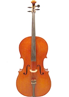 中提琴图片