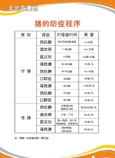 猪的防疫程序图片