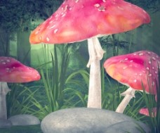 蘑菇预制的背景