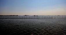 微山湖摄影图片