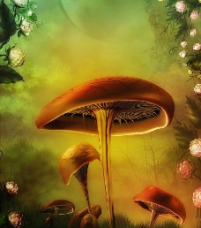 梦幻童话影楼背景 蘑菇 花朵图片