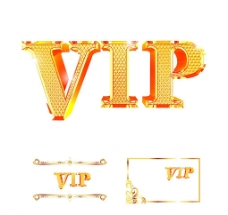 vip贵宾卡金色VIP字体图片