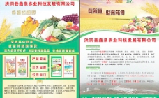 农业科技宣传页图片