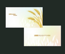农业麦穗名片图片