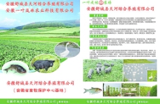 农林业宣传单图片