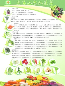 农业蔬菜宣传单图片