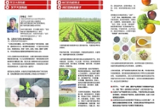 农业折页图片