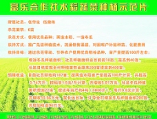 水稻农业宣传栏图片