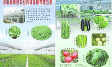 农业科技彩页图片