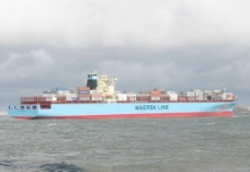 马士基 加尔各答 6246标箱 集装箱运输船图片