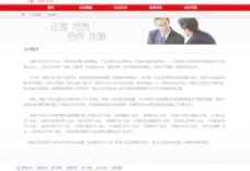 公司网站设计中文模板2_2图片