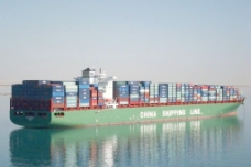 艾玛马士基 11000标箱 集装箱运输船图片