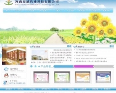 河南泰威药业 医药类网站图片