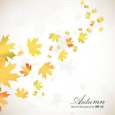 秋天背景秋天的落叶背景与文本空间