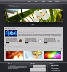自然生态CSS网页模板