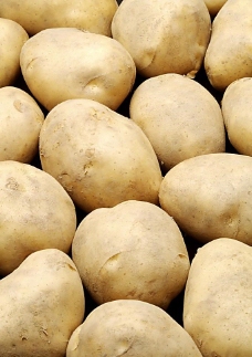 健康饮食土豆马铃薯图片