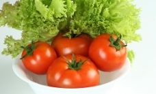 西红柿生菜图片