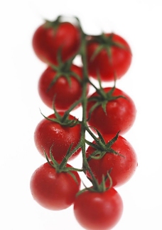 健康饮食小西红柿图片