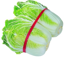 绿色蔬菜大白菜图片
