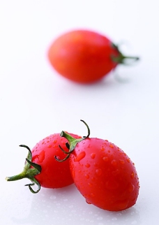 小西红柿图片