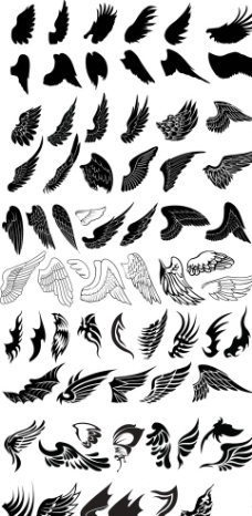 多种鸟类翅膀黑色PSD图片