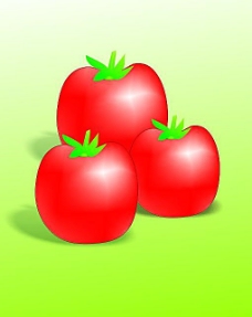 西红柿矢量图图片