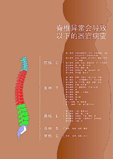 脊椎图 医学 人体图片