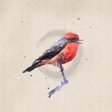 印花矢量图 水彩鸟类专题 艺术效果 水彩 免费素材