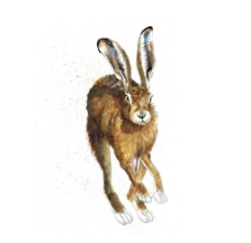 位图 艺术效果 手绘 动物 兔子 免费素材