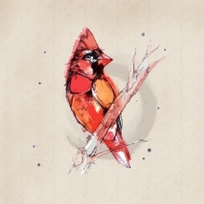 水彩效果印花矢量图水彩鸟类专题艺术效果水彩免费素材