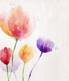 位图 植物图案 写意花卉 花朵 郁金香 免费素材