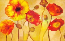 位图 植物图案 写意花卉 花朵 罂粟 免费素材