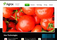 绿色产品绿色水果蔬菜农业产品企业网页模板