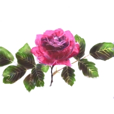 位图 植物 写意花卉 花朵 玫瑰 免费素材