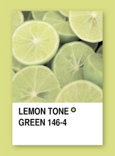 绿色调柠檬色调的绿颜色样本设计