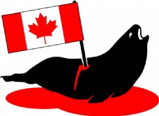 刺伤了加拿大的海豹