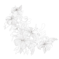 印花矢量图 成熟优雅女装 色彩 黑白色 优雅植物 免费素材