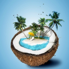 创意椰子壳图片