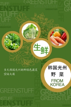 韩国菜韩国新鲜绿色蔬菜广告