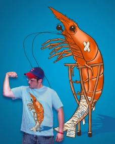 动物插图位图动物龙虾插画色彩免费素材