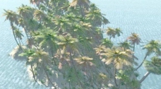 热带岛屿Palmtreeislandtropics