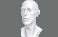一个基本的西方人头雕塑模型
