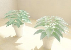 盆栽Plant01