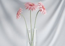 高精细花瓶018花朵