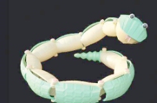 节节蛇 toy 012