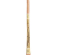 迪吉里杜管 didgeridoo