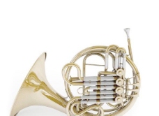 圆号 french horn
