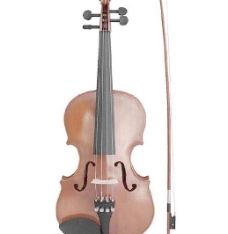 violin 小提琴
