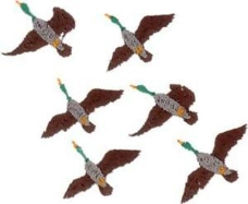 鸟类动物绣花动物鸟类色彩棕色免费素材