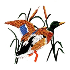 鸟类动物绣花动物鸟类色彩褐色免费素材